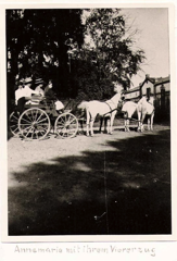 Annemarie mit Viererzug