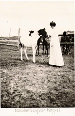 Elisabeth auf der Koppel