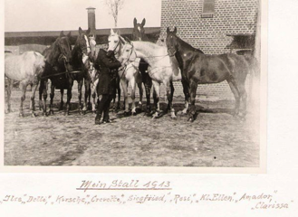 Mein Stall 1913